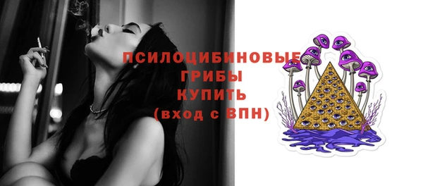 мяу мяу мука Магадан