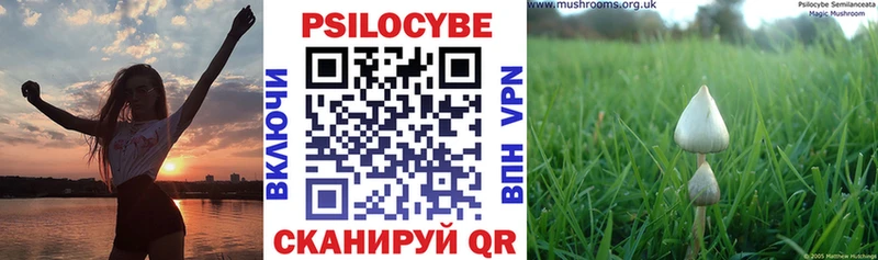 Купить где Ивангород Галлюциногенные грибы Psilocybine cubensis