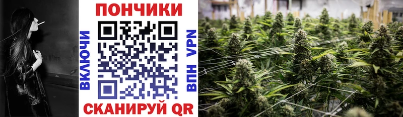 Купить закладки  Ивангород  Шишки марихуана LSD WEED 